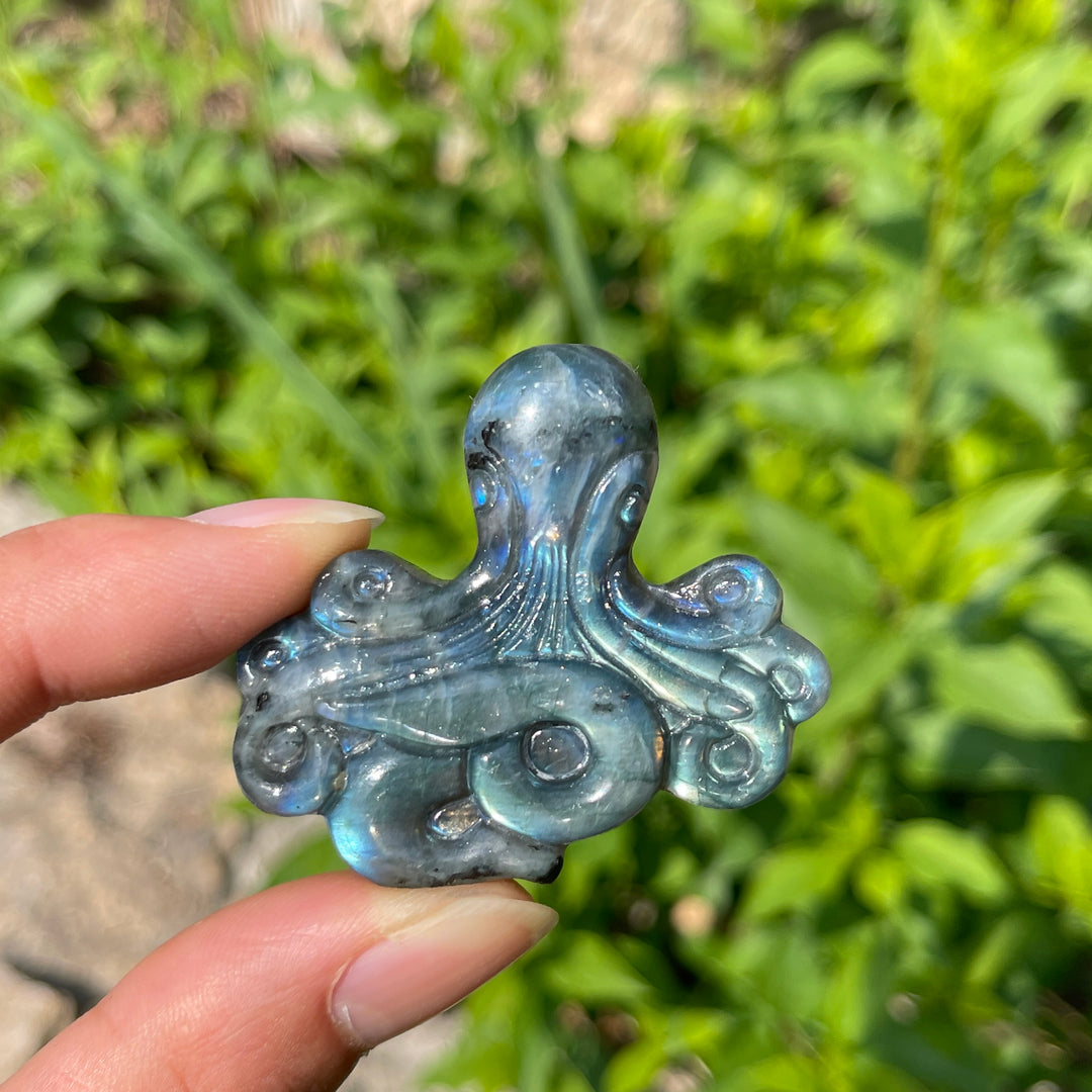 Natural Crystal Labradorite Octopus Carving