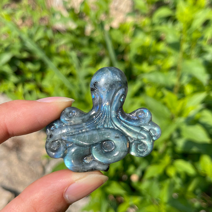 Natural Crystal Labradorite Octopus Carving