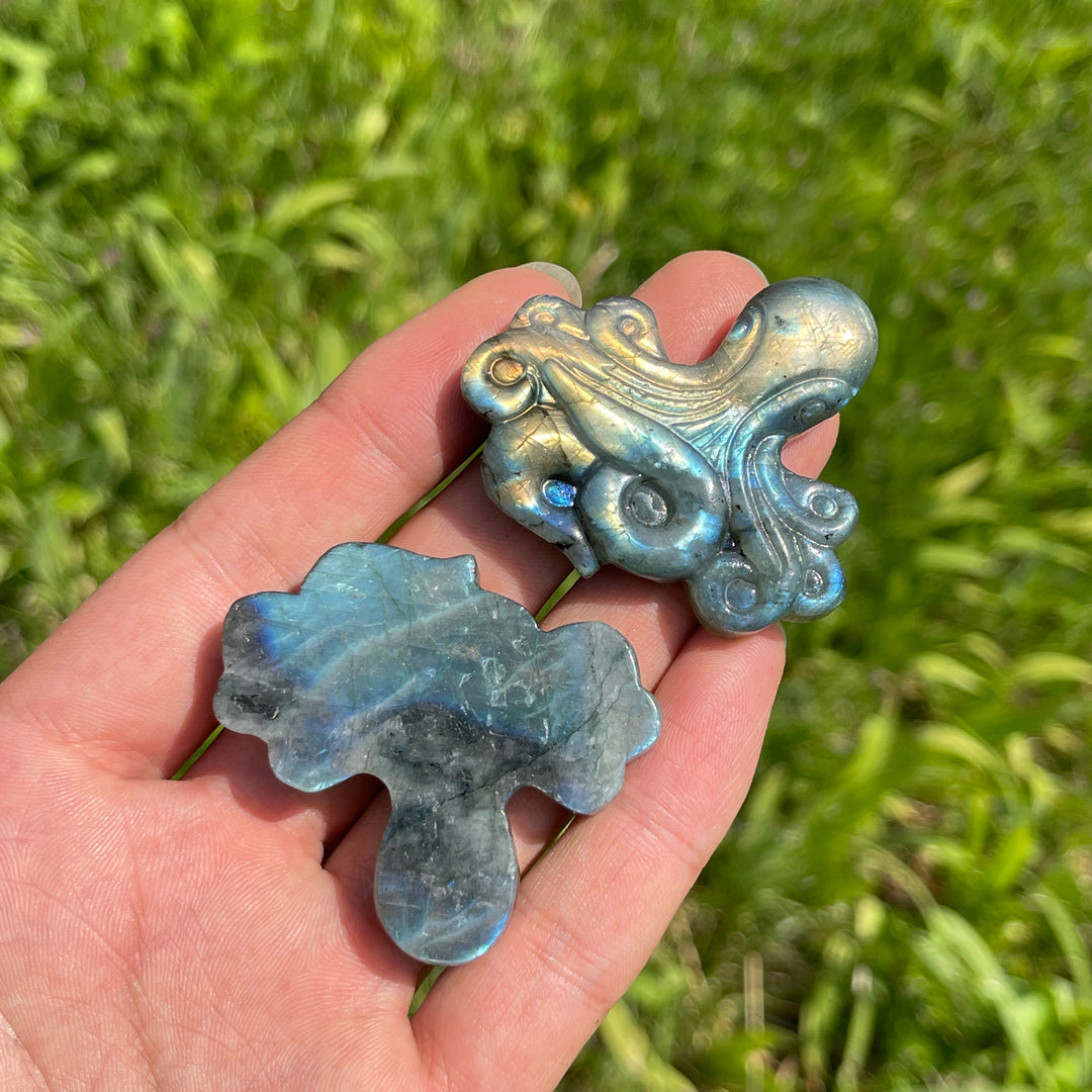 Natural Crystal Labradorite Octopus Carving
