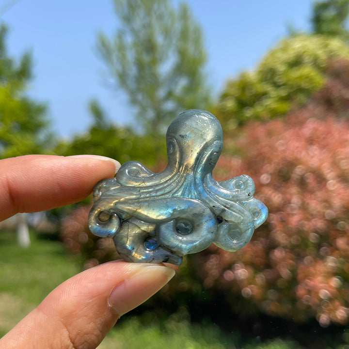 Natural Crystal Labradorite Octopus Carving