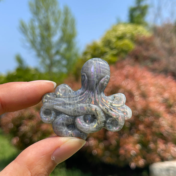Natural Crystal Labradorite Octopus Carving