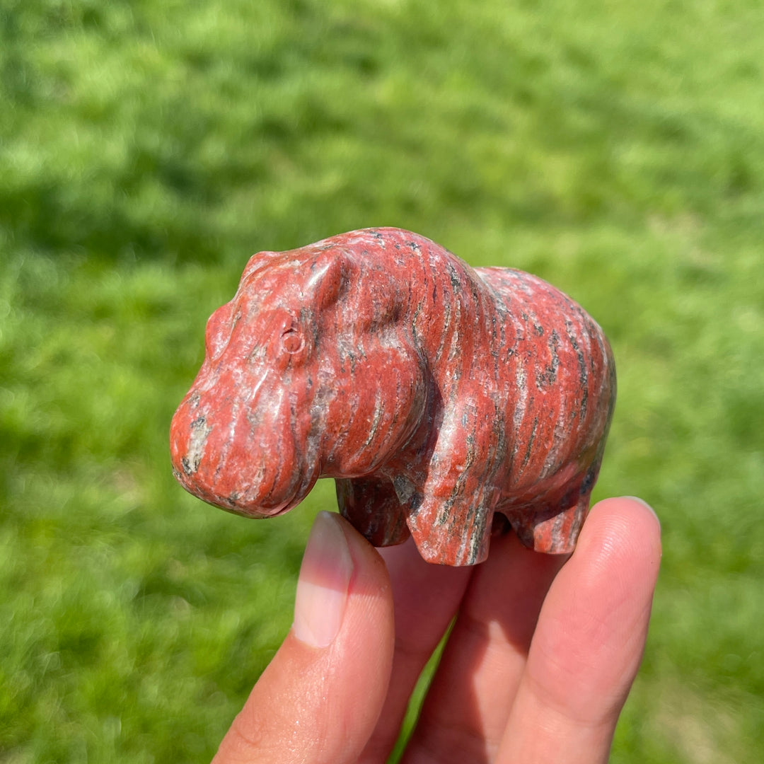 Natural Crystal Red Aventurine Hippo Carving