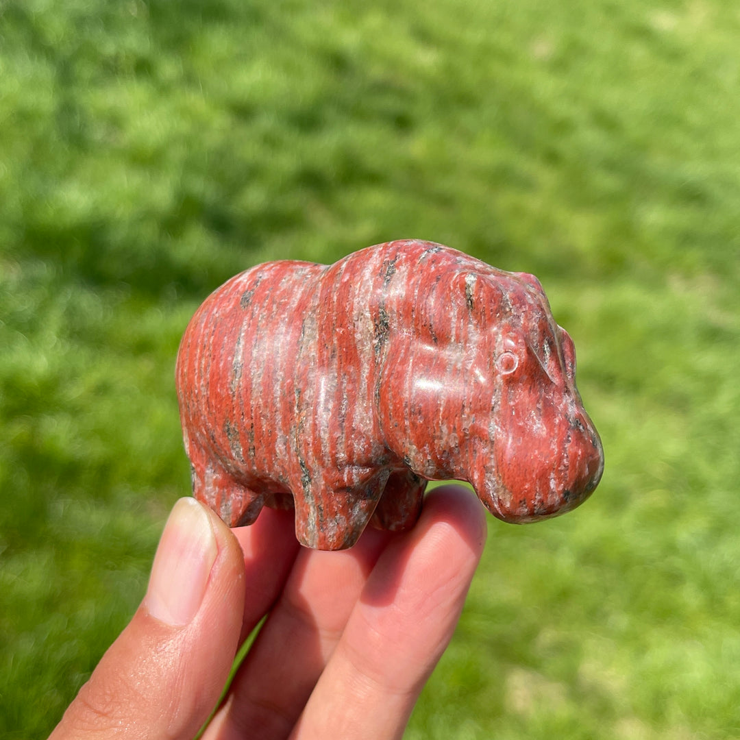 Natural Crystal Red Aventurine Hippo Carving