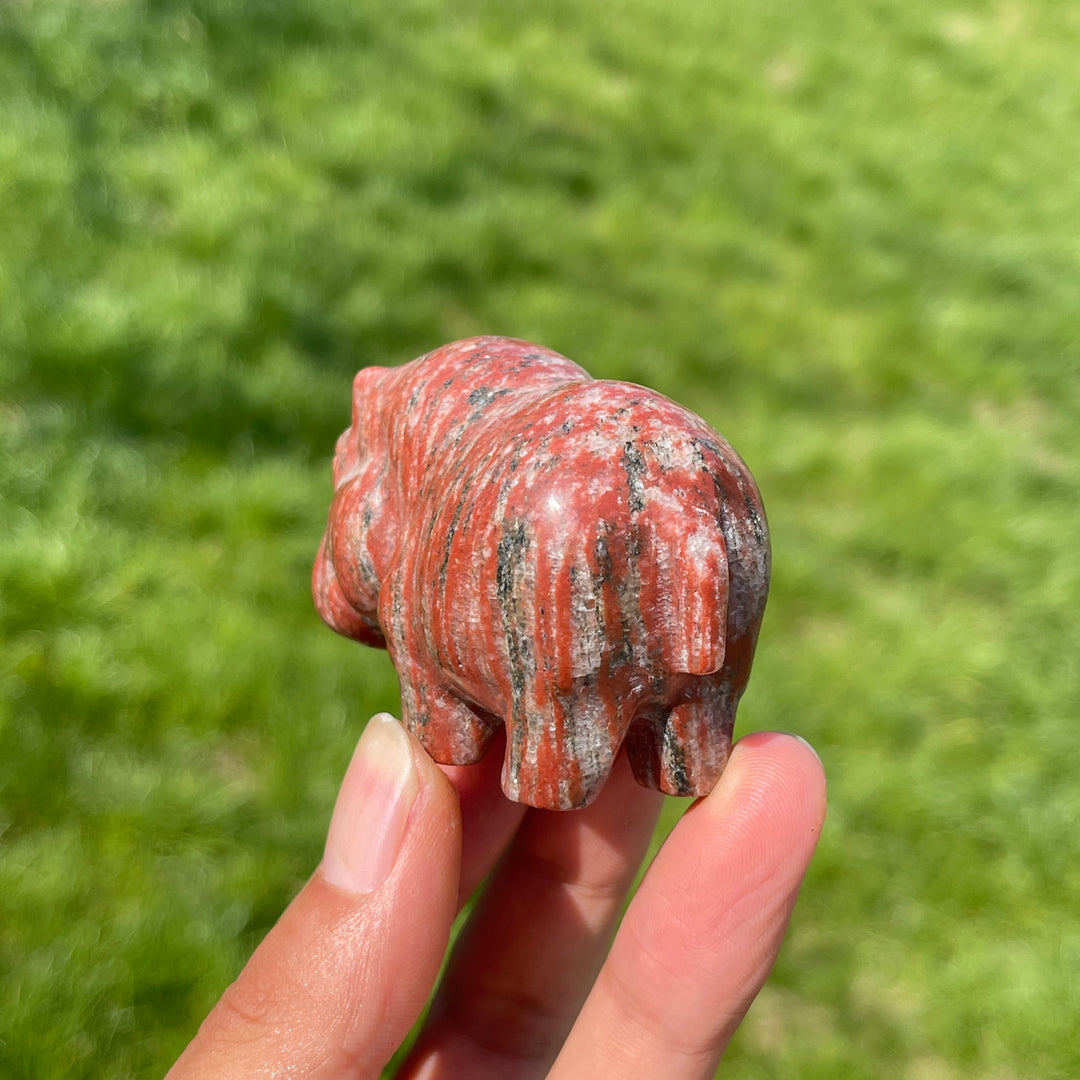 Natural Crystal Red Aventurine Hippo Carving