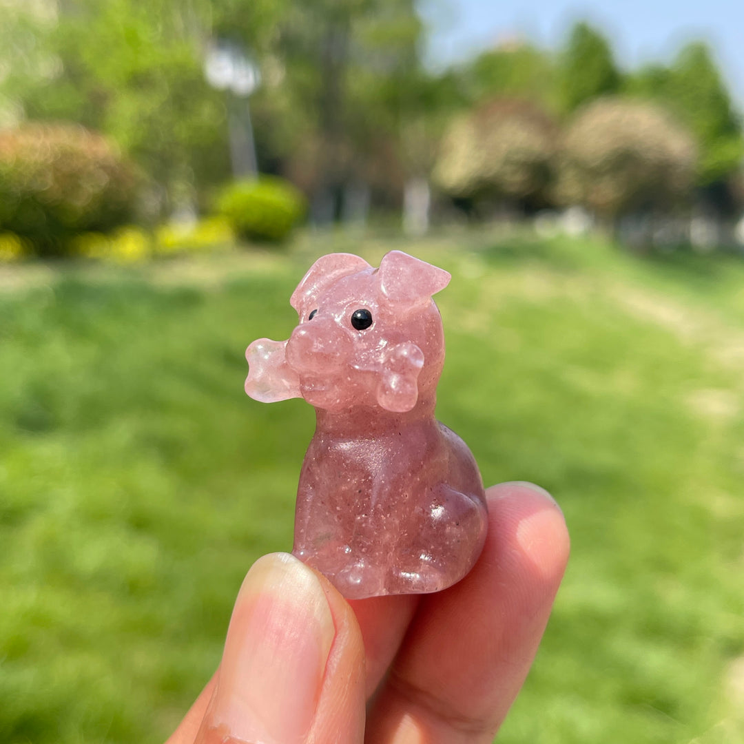Natural Crystal Puppy With A Bone Carving