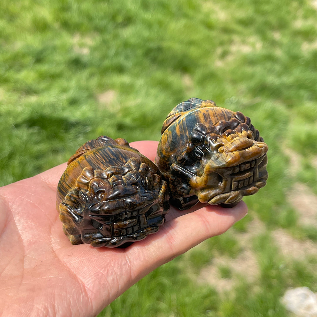 Natural Tiger Eye Dragon Turtle Carving