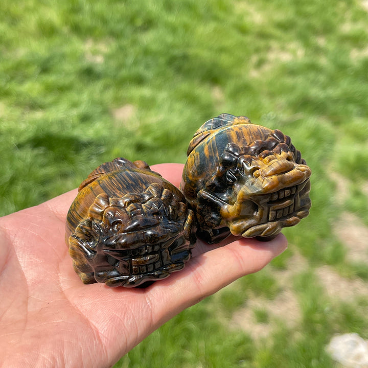 Natural Tiger Eye Dragon Turtle Carving