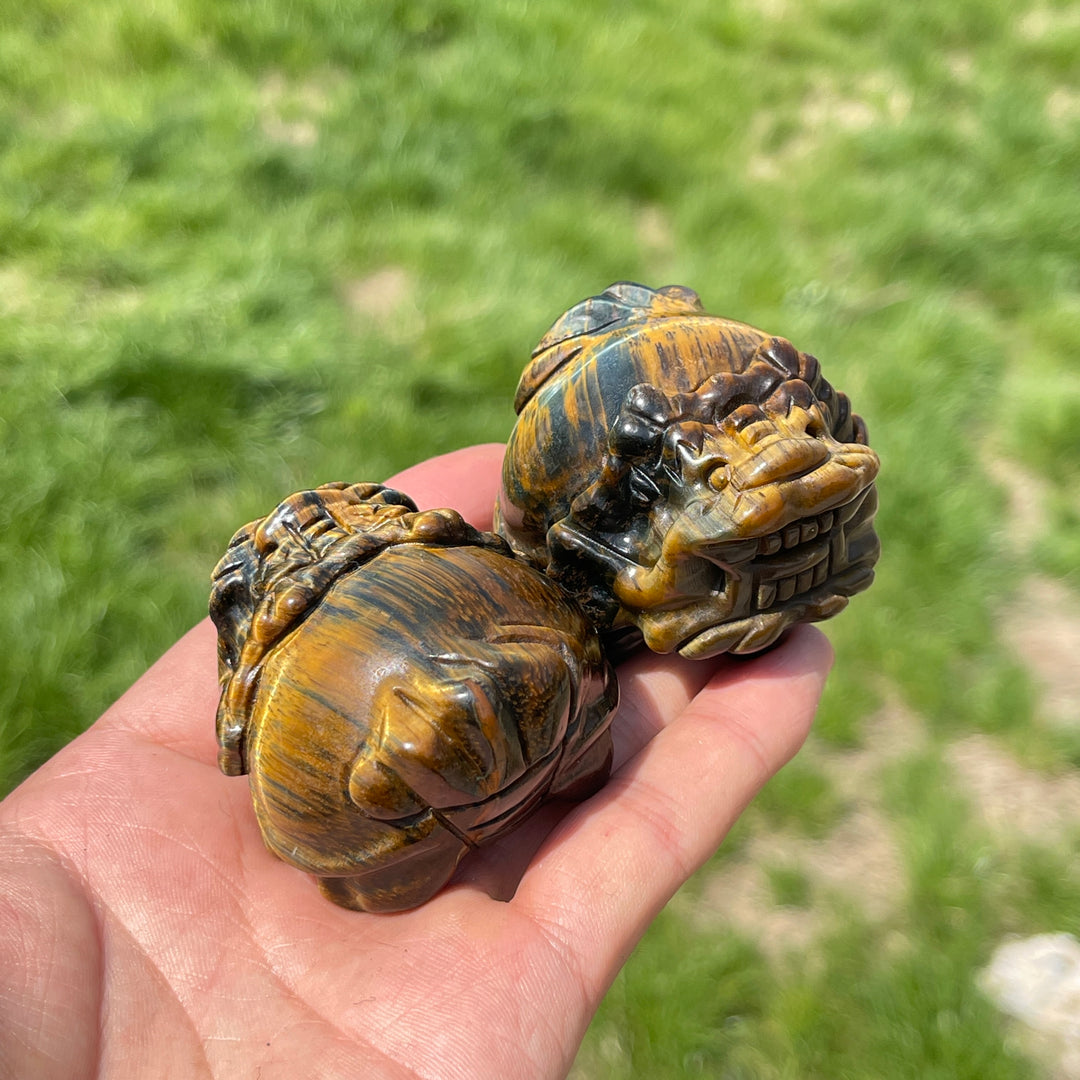 Natural Tiger Eye Dragon Turtle Carving