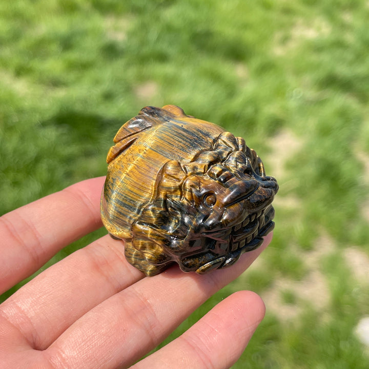 Natural Tiger Eye Dragon Turtle Carving