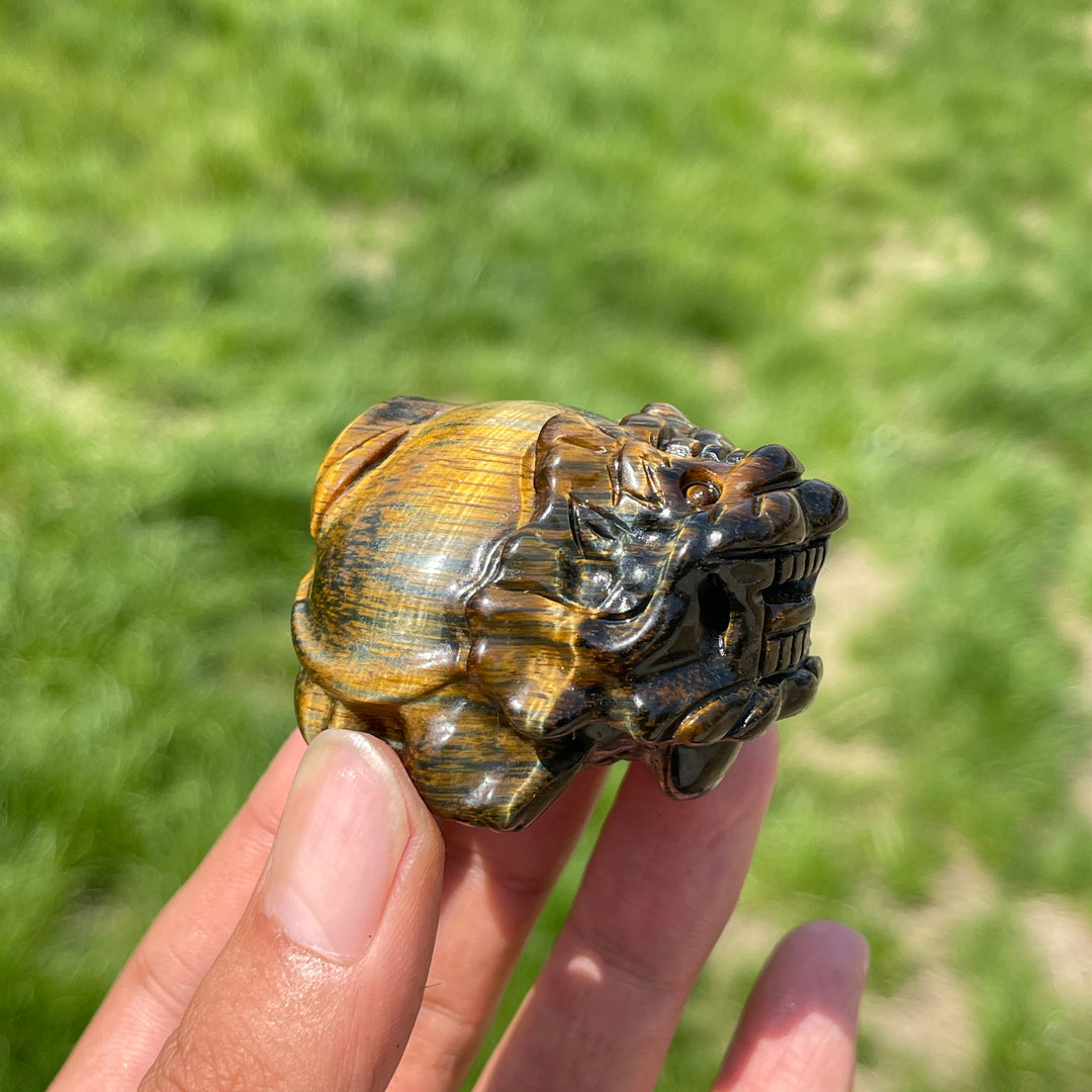 Natural Tiger Eye Dragon Turtle Carving