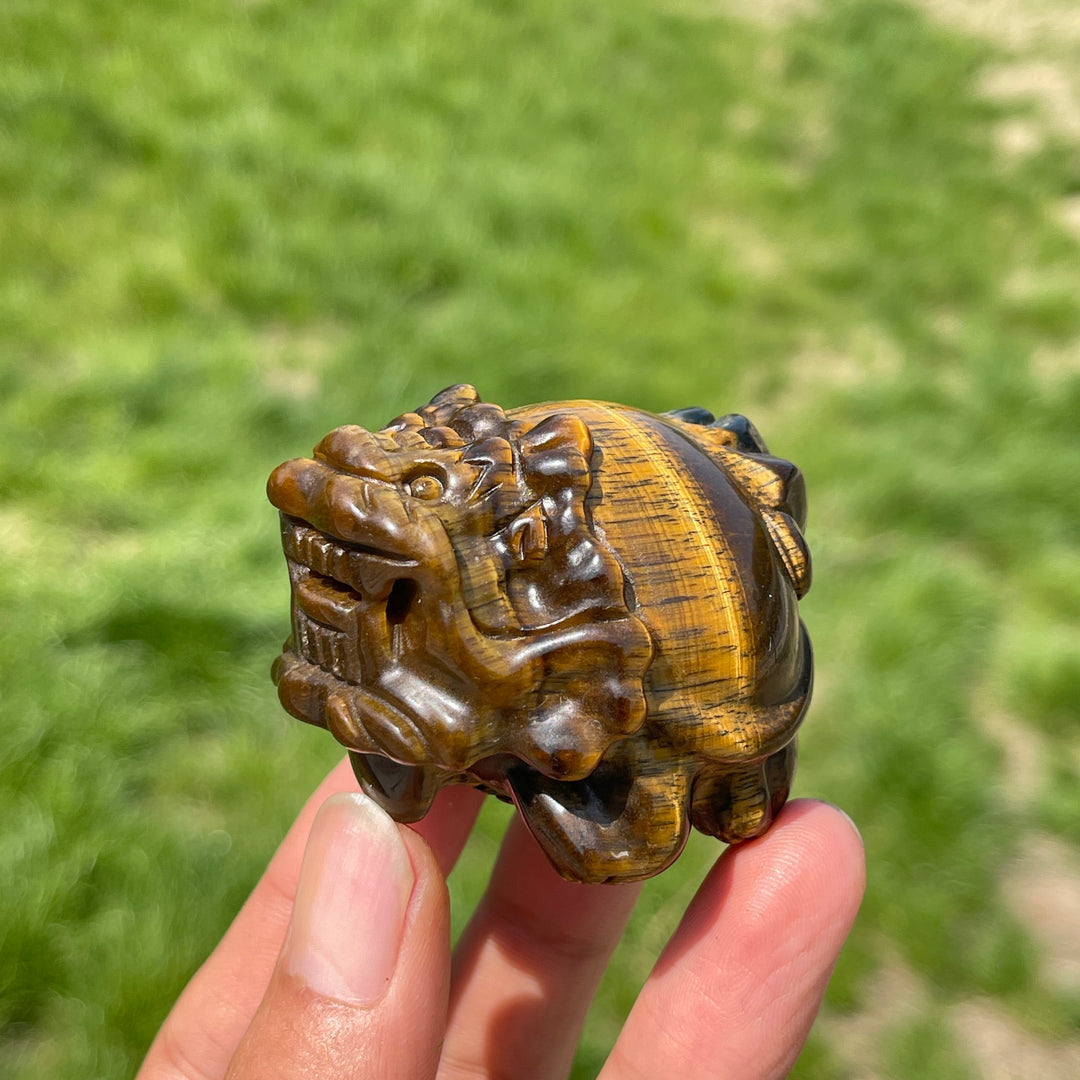 Natural Tiger Eye Dragon Turtle Carving