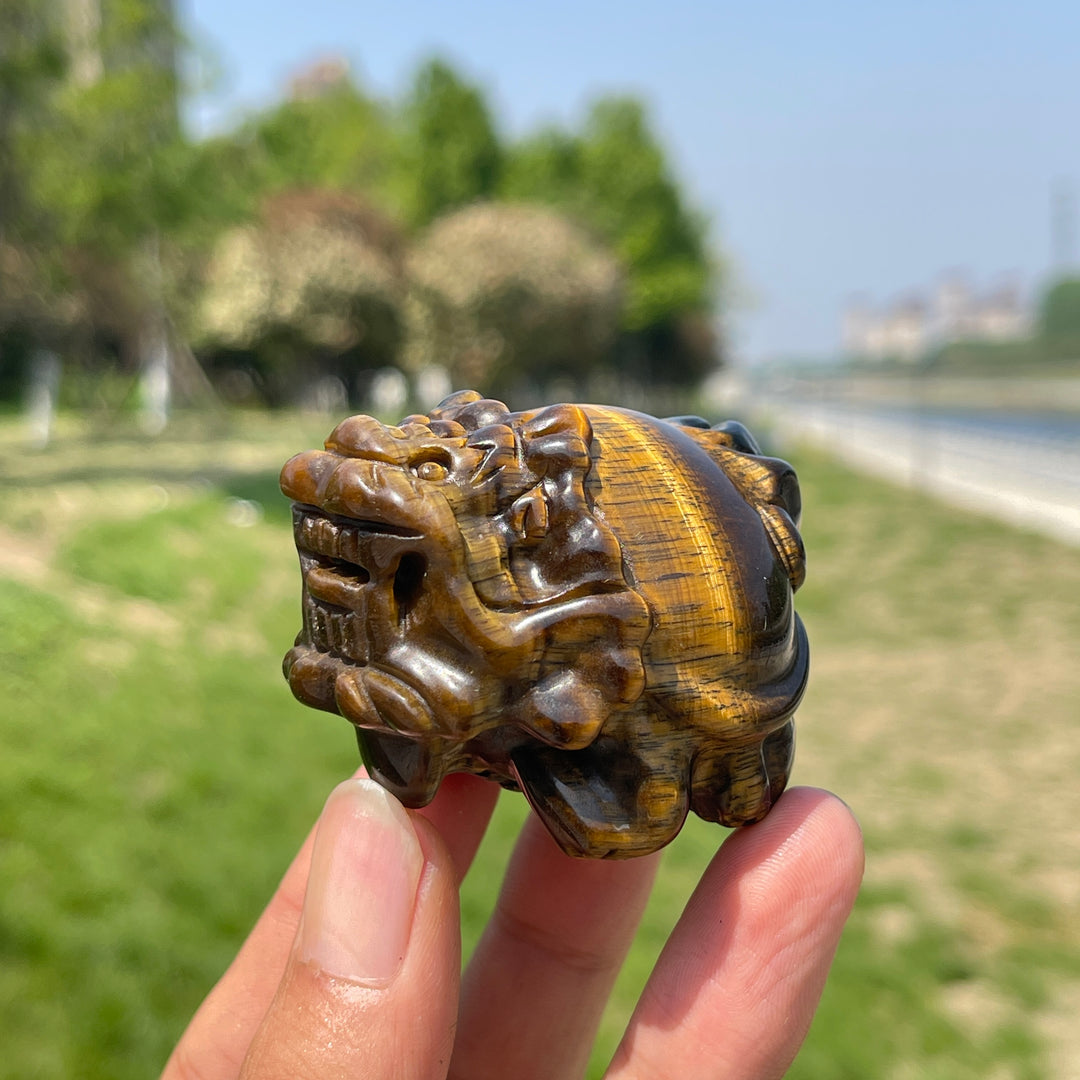 Natural Tiger Eye Dragon Turtle Carving