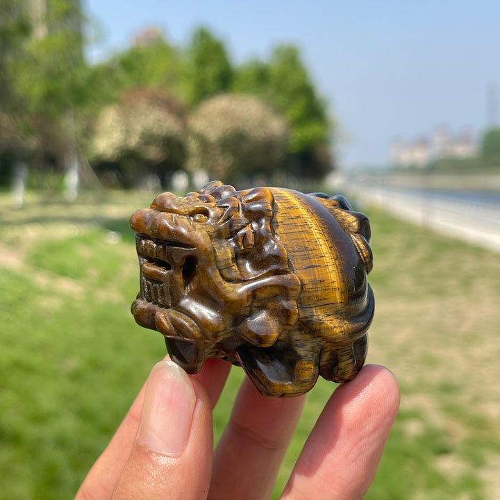 Natural Tiger Eye Dragon Turtle Carving