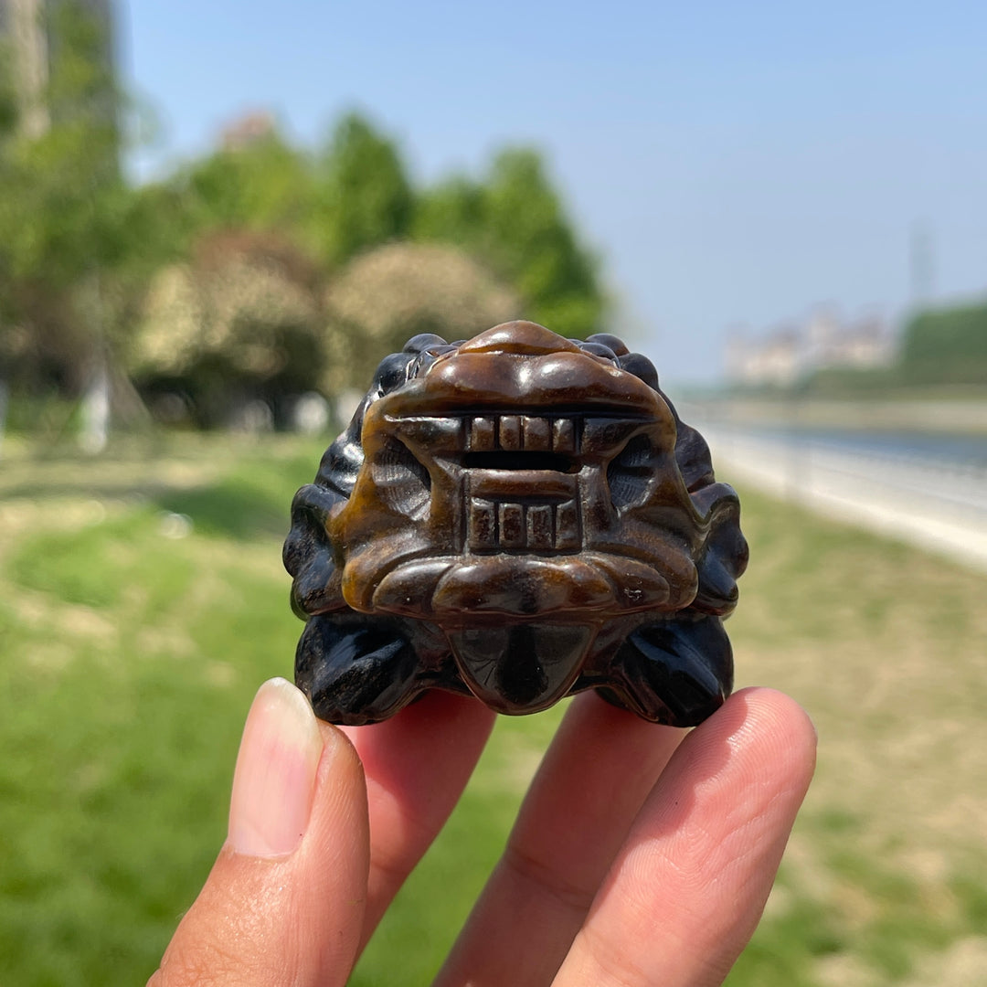 Natural Tiger Eye Dragon Turtle Carving