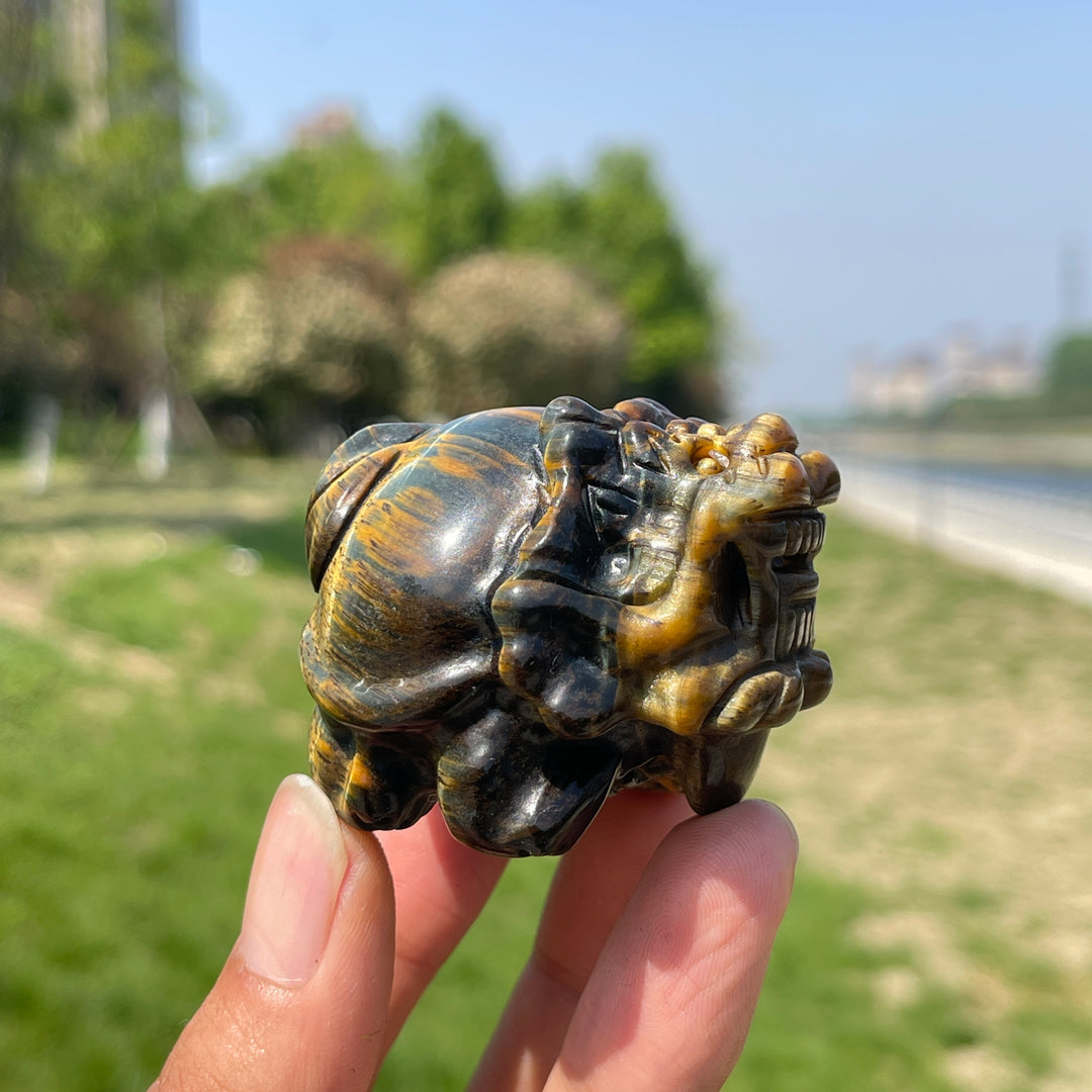Natural Tiger Eye Dragon Turtle Carving