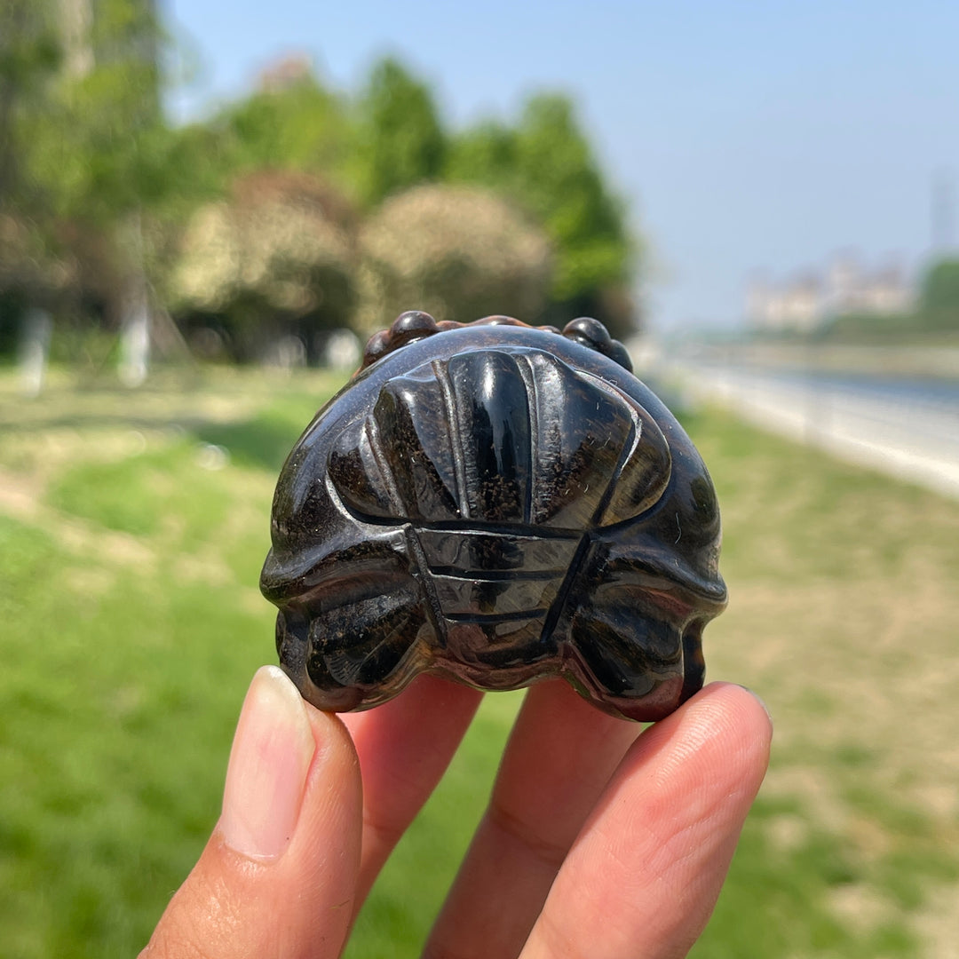 Natural Tiger Eye Dragon Turtle Carving