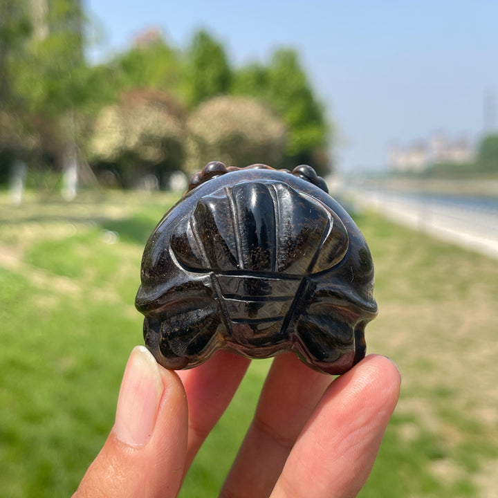 Natural Tiger Eye Dragon Turtle Carving