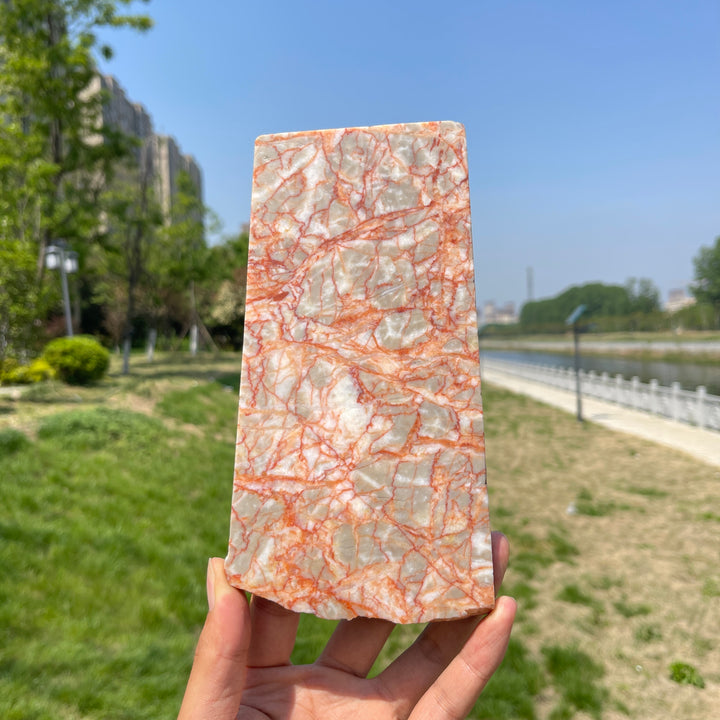 Unique,Natural Red Network Jasper Crystal Slice