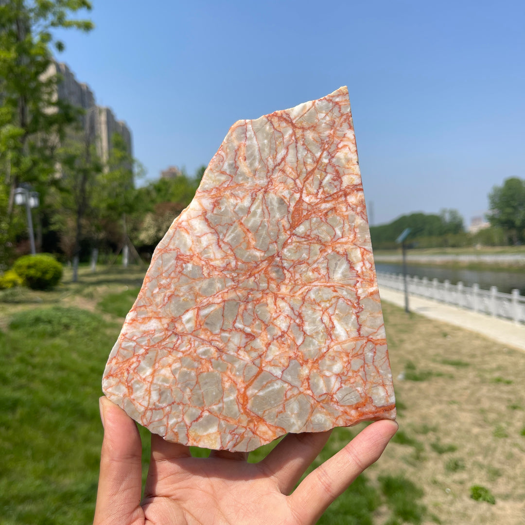 Unique,Natural Red Network Jasper Crystal Slice