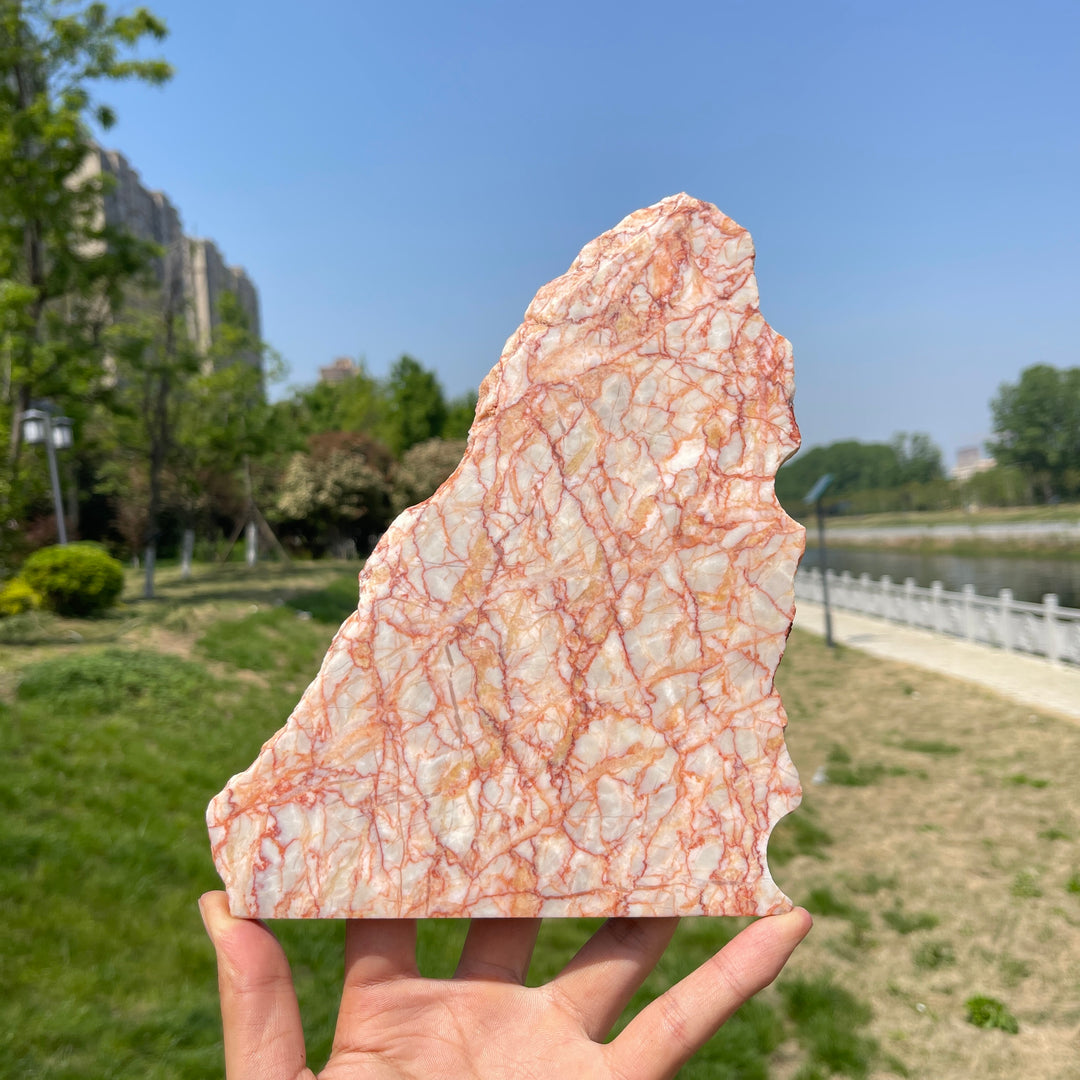 Unique,Natural Red Network Jasper Crystal Slice
