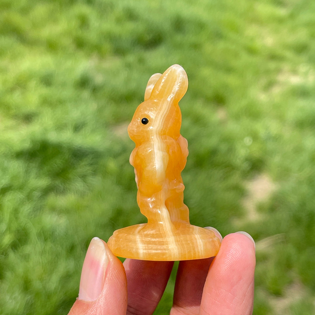 Natural Crystal Muscular Rabbit Carving