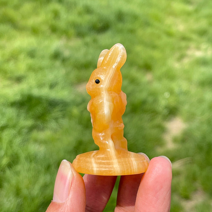 Natural Crystal Muscular Rabbit Carving
