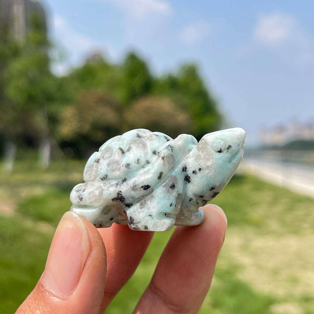 Natural Crystal Carving Turtle