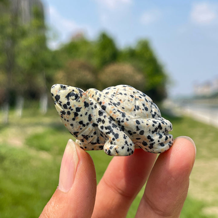 Natural Crystal Carving Turtle