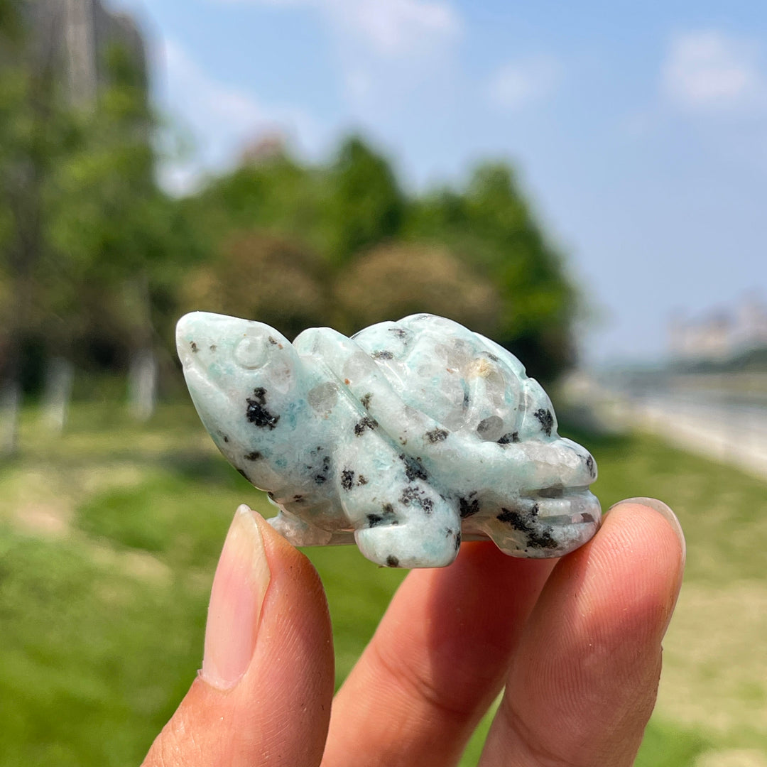 Natural Crystal Carving Turtle