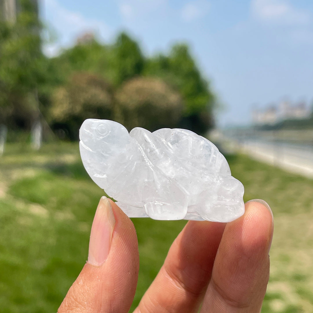 Natural Crystal Carving Turtle