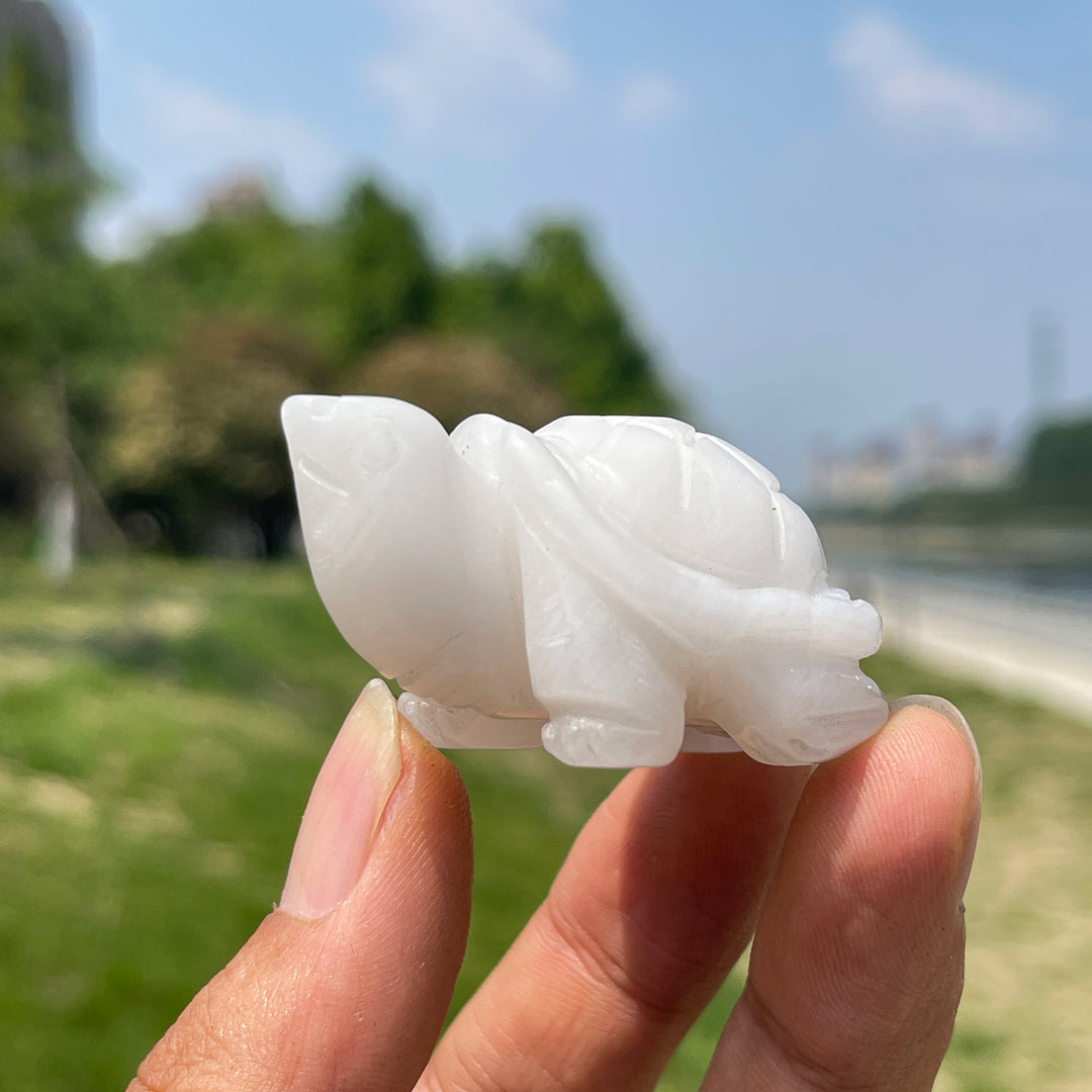 Natural Crystal Carving Turtle