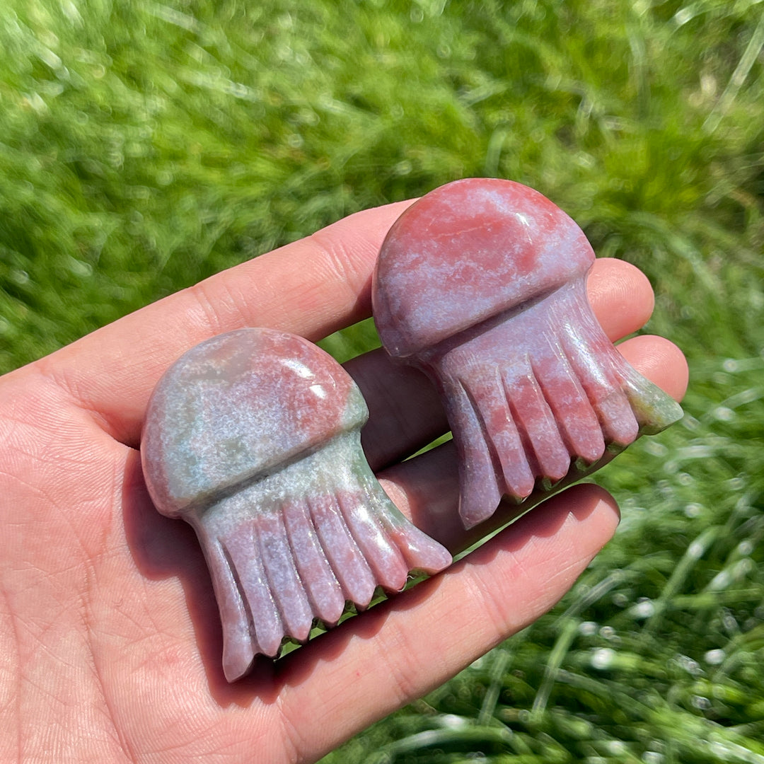 Ocean Jasper Jellyfish