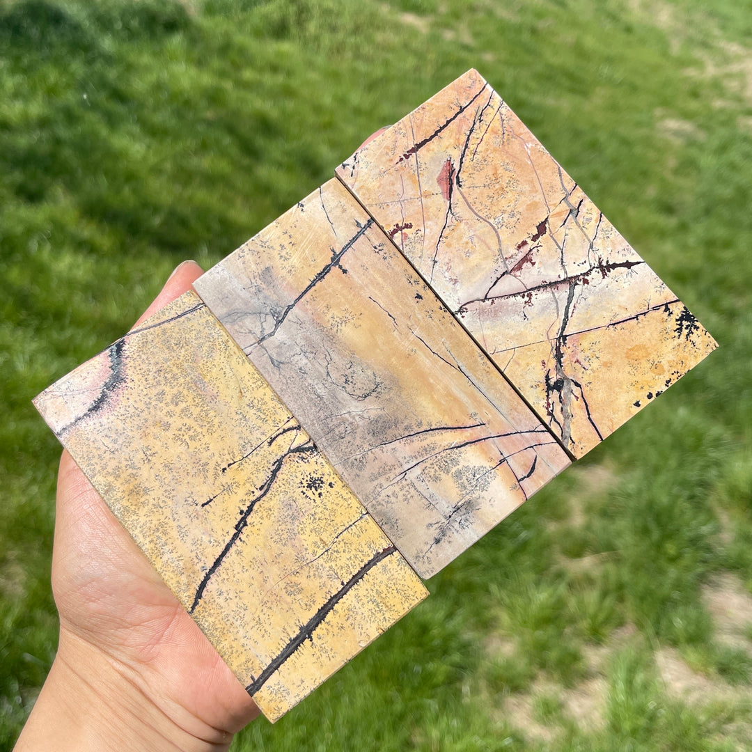 Natural Crystal Picture Jasper Slice