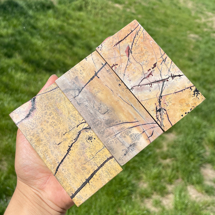Natural Crystal Picture Jasper Slice