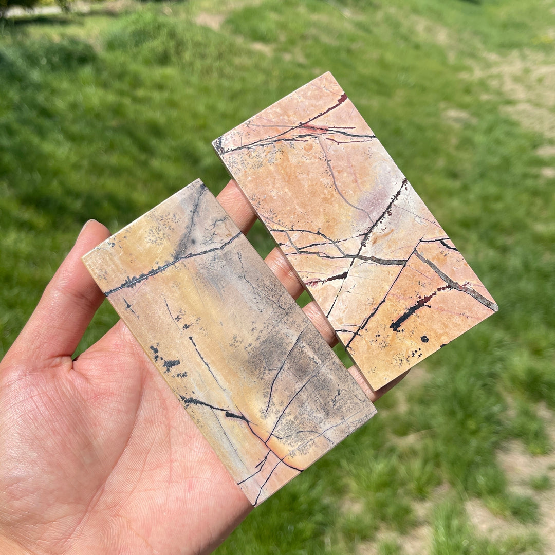 Natural Crystal Picture Jasper Slice
