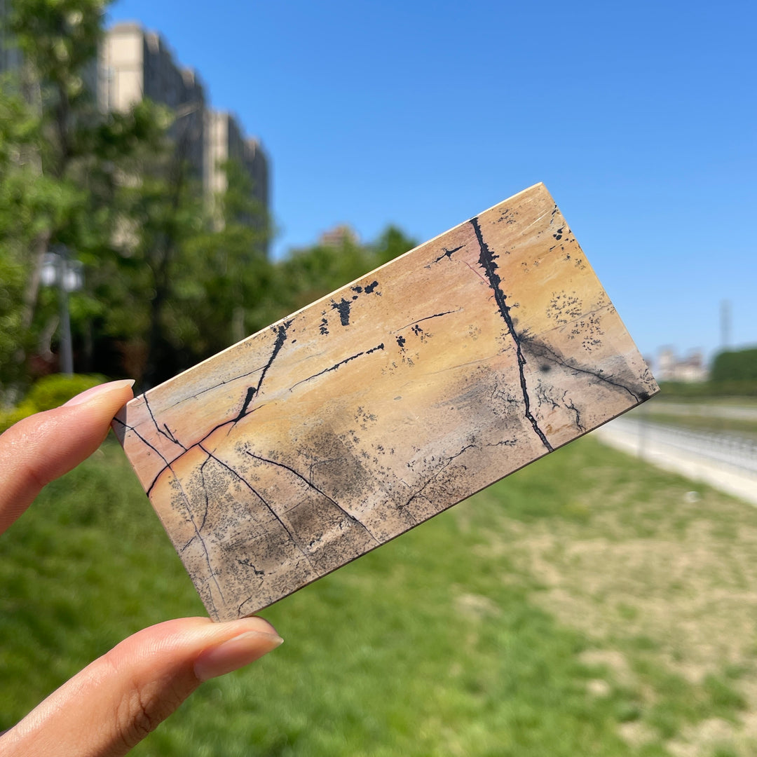 Natural Crystal Picture Jasper Slice