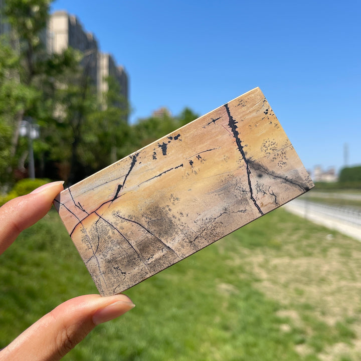 Natural Crystal Picture Jasper Slice