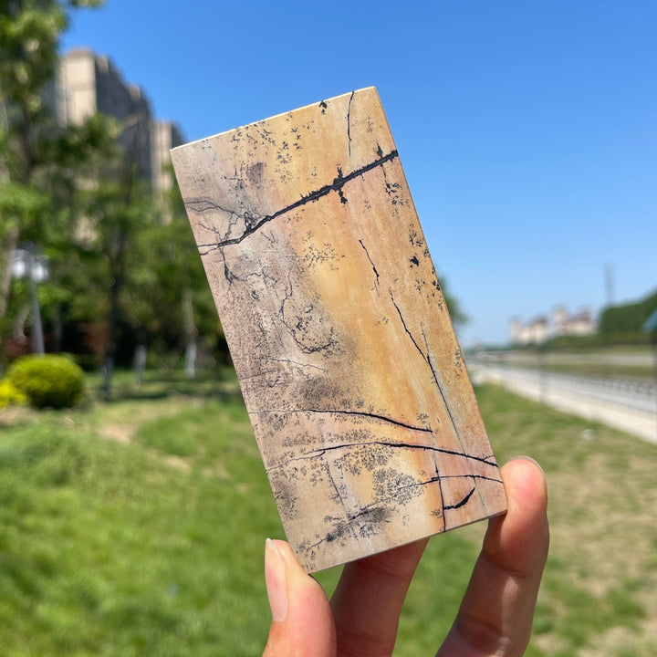 Natural Crystal Picture Jasper Slice