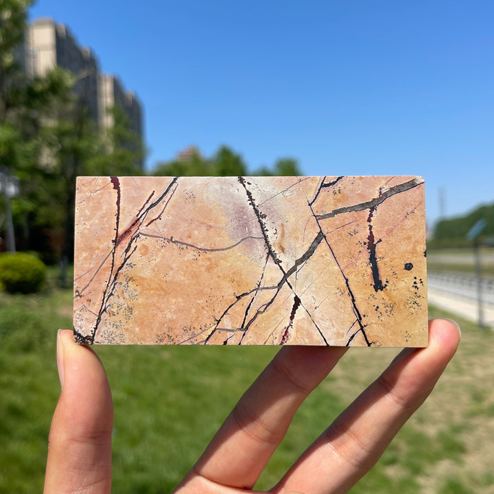 Natural Crystal Picture Jasper Slice