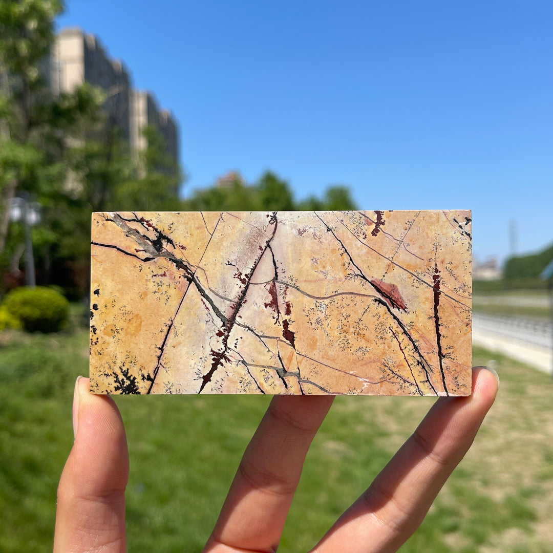 Natural Crystal Picture Jasper Slice