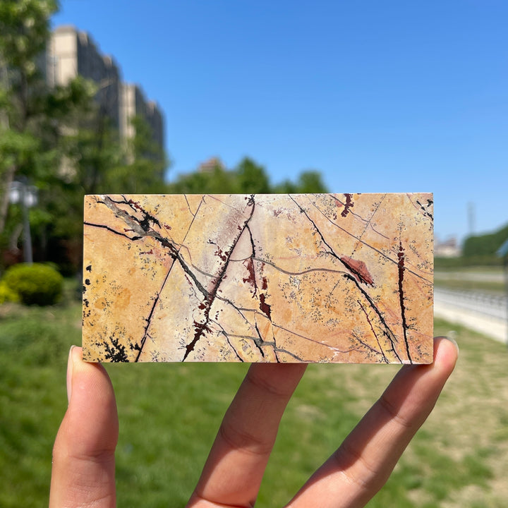 Natural Crystal Picture Jasper Slice