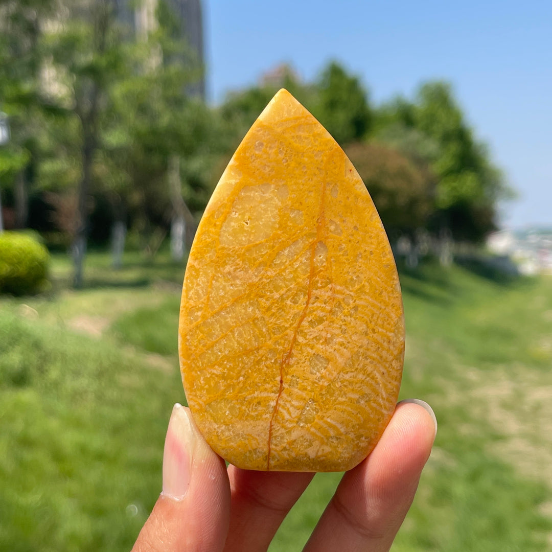 Natural Yellow Aventurine Crystal Teardrop
