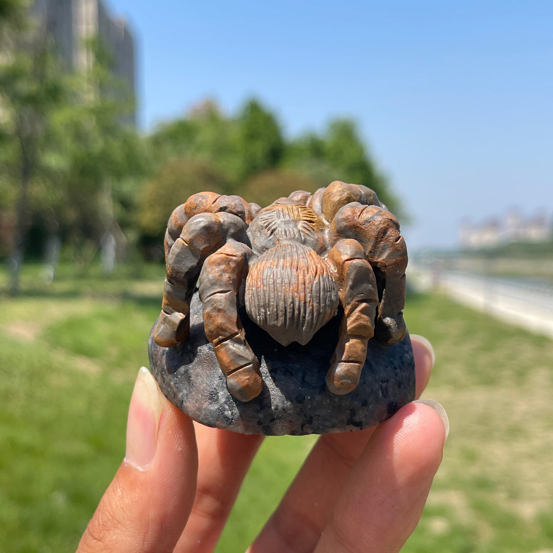 Natural Spider Crystal Carving