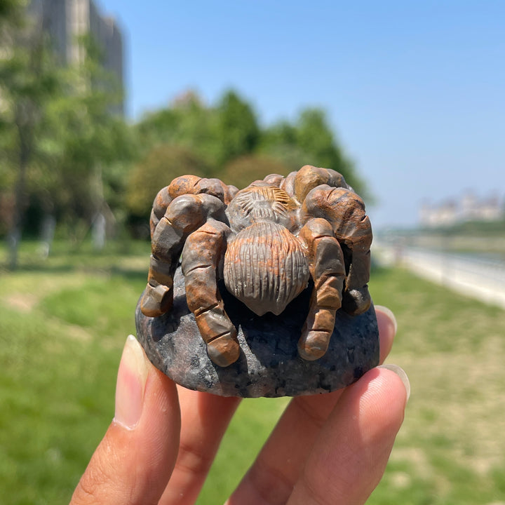Natural Spider Crystal Carving