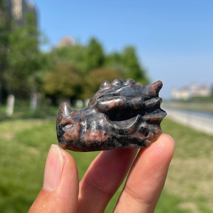 Dragon Skull