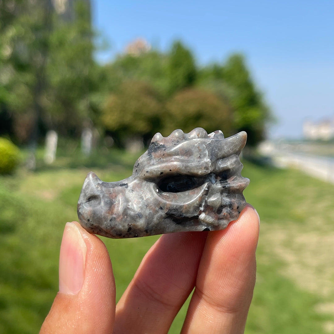 Dragon Skull