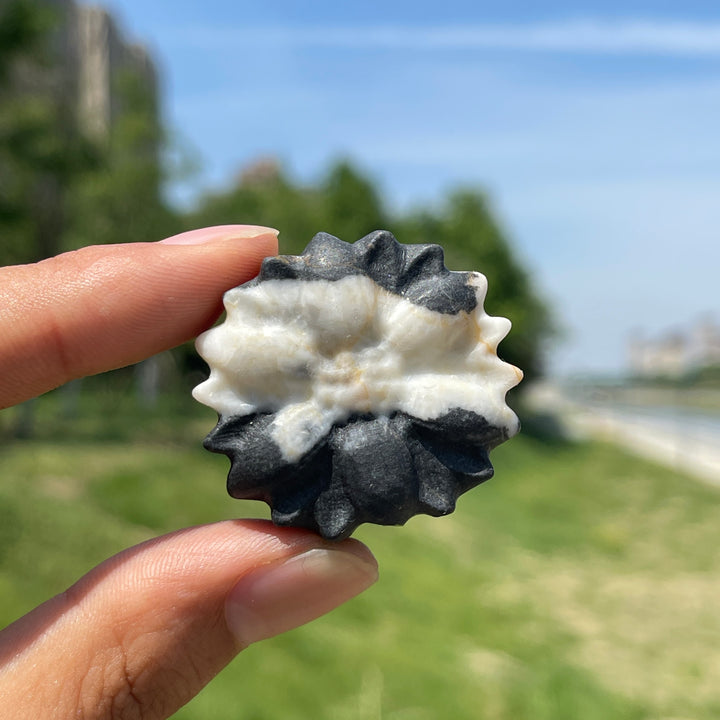 Natural Crystal Carving Daisy