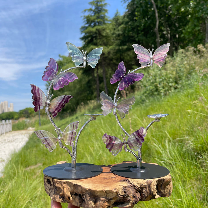 A Slightly Imperfect Natural Fluorite Butterfly Sphere Stand