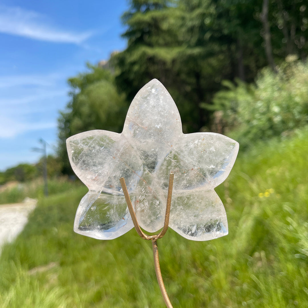 Unique,Natural Crystal Orchid Carving