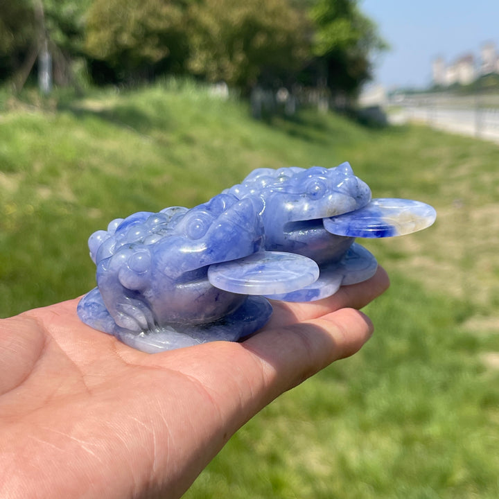 Unique,A Slightly Imperfect Natural Blue And White Sodalite Money Toad Carving